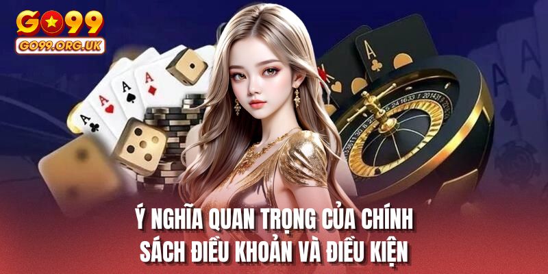Ý nghĩa quan trọng của chính sách điều khoản và điều kiện